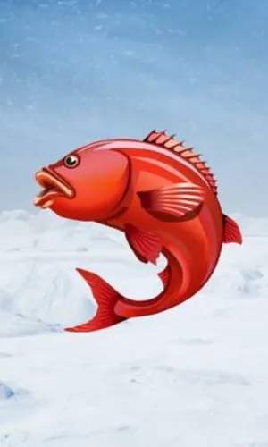 Ice Fishing